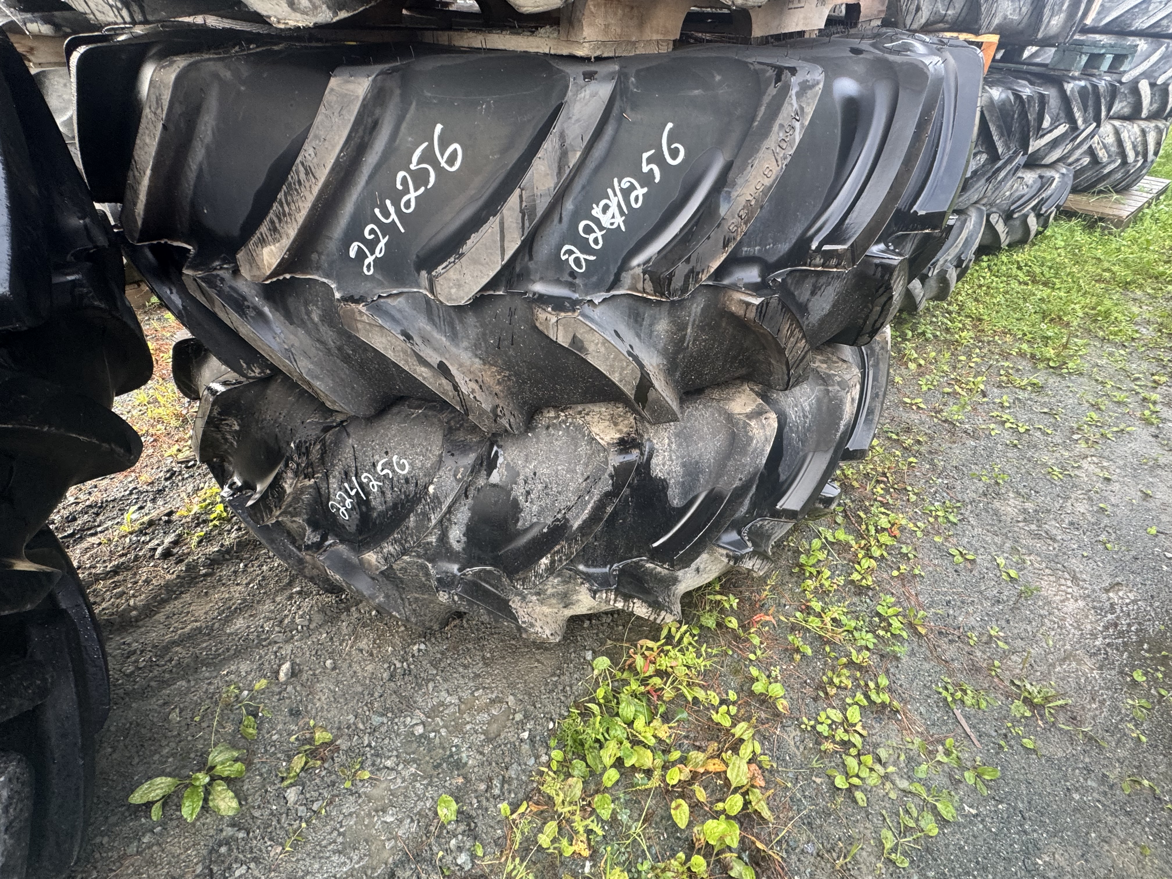 Firestone RPN1838