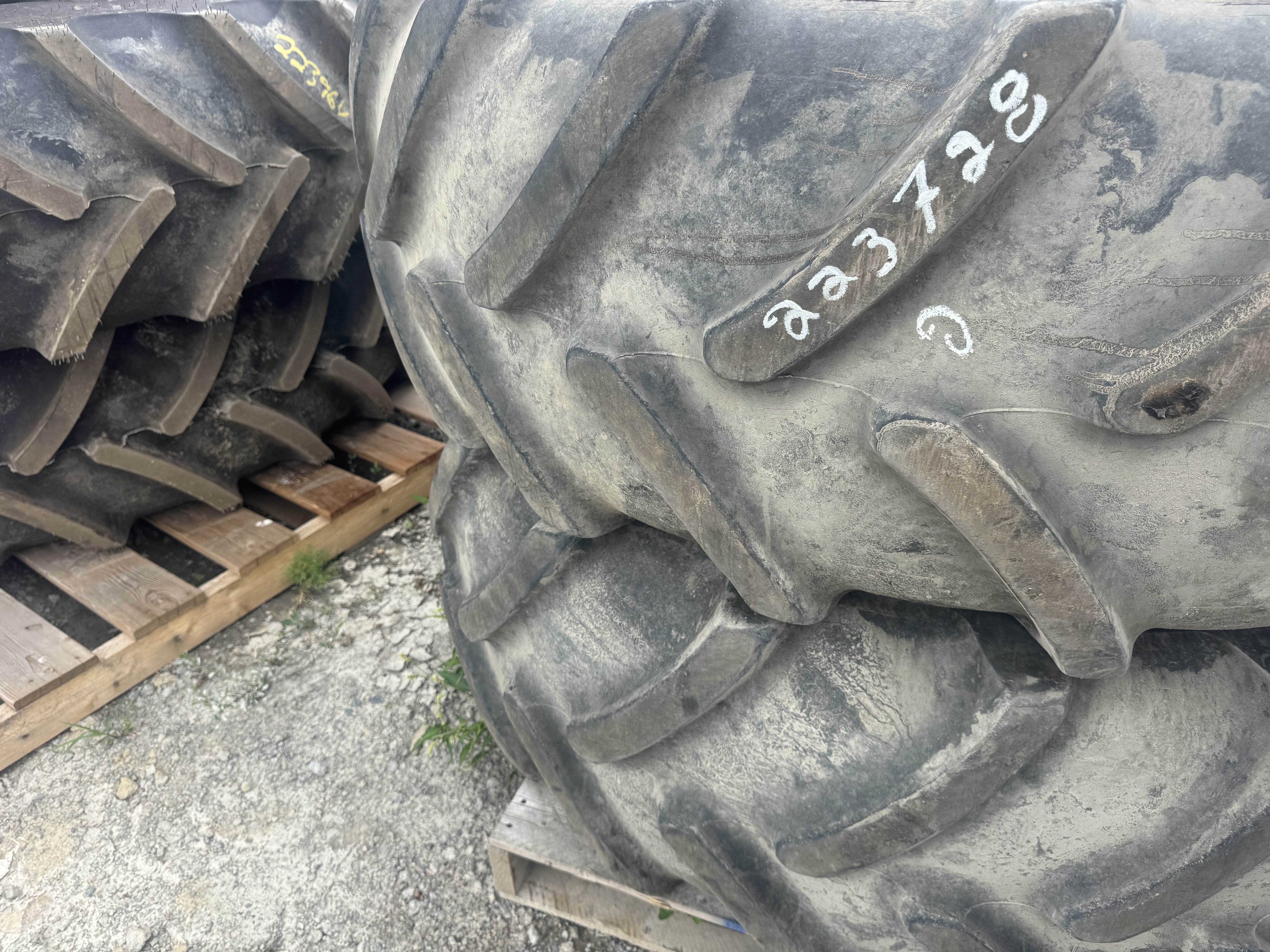 Firestone RPN1834
